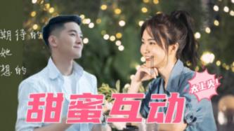 战斗机的反击